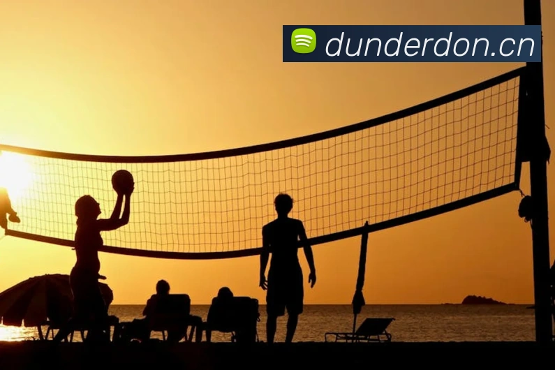 爱游戏app官网在线登陆发展历程